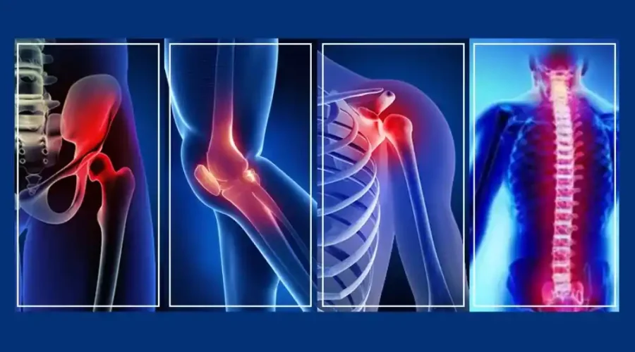 Bone specialist Nagpur
