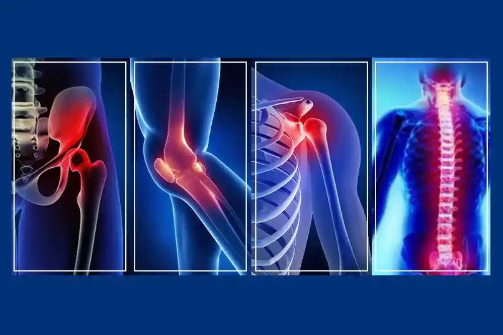 Bone specialist Nagpur