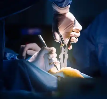Best Orthopedic Surgeon in Nagpur